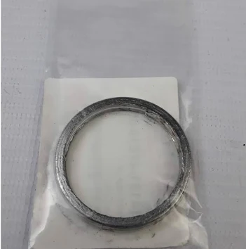 Pipe Gasket